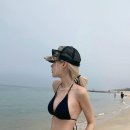 캘리포니아 이미지