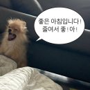 오자매양꼬치 이미지