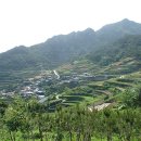 양지마을경로당 이미지