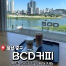 하이디비카페 | 울산 태화강 뷰 맛집 <BCD 커피> 내돈내산 후기
