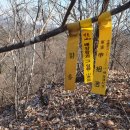 덕솔이네 이미지