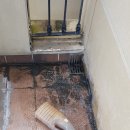 강남대로34길 19 이미지