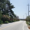 용장서원 이미지