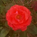 베말공원 이미지