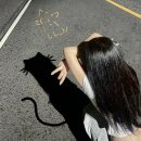 “나, 너 좋아하냥” 미유(Mew), 달콤하고 당돌한 고백송 '좋아하냥'으로 가요계 컴백 이미지