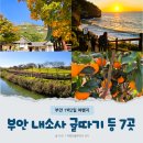 아침 이레 농장 | 부안 1박2일 여행지 내소사 등 관광지 체험농장 만들기체험 포함