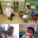 라인피디