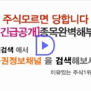 [흥아해운 - 증권정보채널] 흥아해운(003280) 종목분석 및 향후 투자 대응전략 이미지