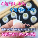 쌍문으뜸