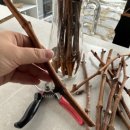 옥신농장 이미지