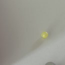 아이레몬약국 이미지