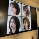 함성소리컴퍼니 이미지