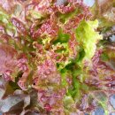 무지개횟집 이미지