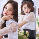 컬러라이즈