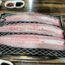 풍천장어 이미지