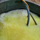 도고농장 이미지