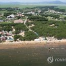 몽산포레져