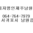 피자명인 이미지