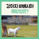 지축오투동물의료센터 이미지