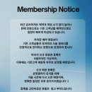힐끗네일 네이버블로그