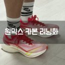 알리익스프레스 원믹스(ONEMIX) 카본 러닝화 내돈내산 후기 착용감 사이즈 추천