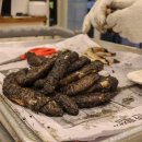 부산곰장어 이미지