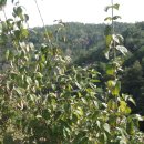 보금농장 이미지