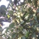 제천농장 이미지