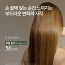 보타랩 | 탈모 고민 끝! 리만코리아 보타랩 데저티콜라 플러스 솔직 후기 (두피 안티에이징의 기적)