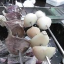 여산빌딩 앞 이미지