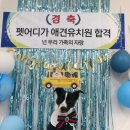 펫어디가 이미지