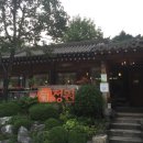 국화정원 이미지