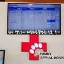 패밀리 동물병원 이미지