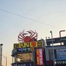 희망1길 | [속초맛집 머구리횟집] 대포항에서 즐기는 속초대게 푸짐한 코스