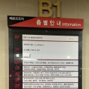 머슬원핏배곧 이미지