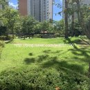 현촌유치원 앞 이미지