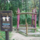 회암사지 유아숲체험원 이미지