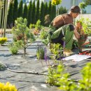 조경기능사 이미지