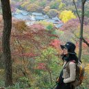 원곡동 763-1~원곡동 741-17 주변 | 백암산 내장산 종주,등산코스,대중교통편 (백양사 내장사 단풍)