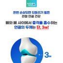 [하루249원] 뼈건강 지키는 대용량 프로테오글리칸 12x (쇼핑백증정) 이미지