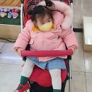바니플랫대동