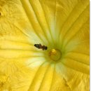 효성농장 이미지