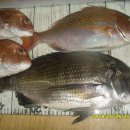 소봉대화장실 이미지