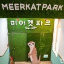 미어켓파크 이미지