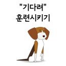 희제어물전 | 건대 만두 맛집 희가덕 손만두 내돈내산 솔직 후기