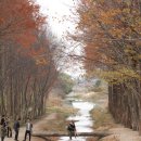 경주산림환경연구원 이미지