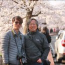 화개마을 이미지