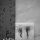 봉 동물병원 이미지