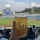 [대구 삼성라이온즈파크] 라이온즈파크 블루존 3-3 32열 시야 / 블루존 후기