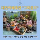 대전 카페 추천 / 식물과 라탄 감성이 가득한 대전 브런치 카페 그라운드 후기